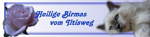 vom Iltisweg